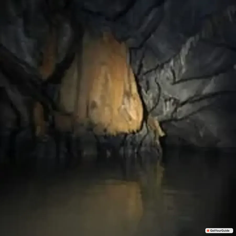 Puerto Princesa Underground River and Firefly Watching Tour