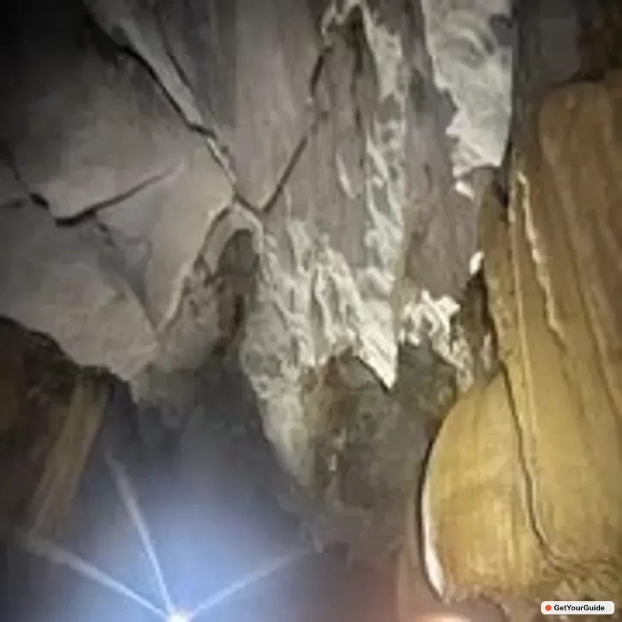 Puerto Princesa Underground River and Firefly Watching Tour