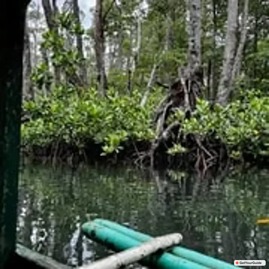 Puerto Princesa Underground River Guided Day Trip