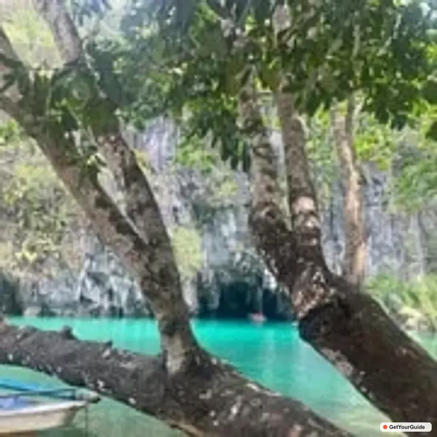 Puerto Princesa Underground River Tour with Lunch