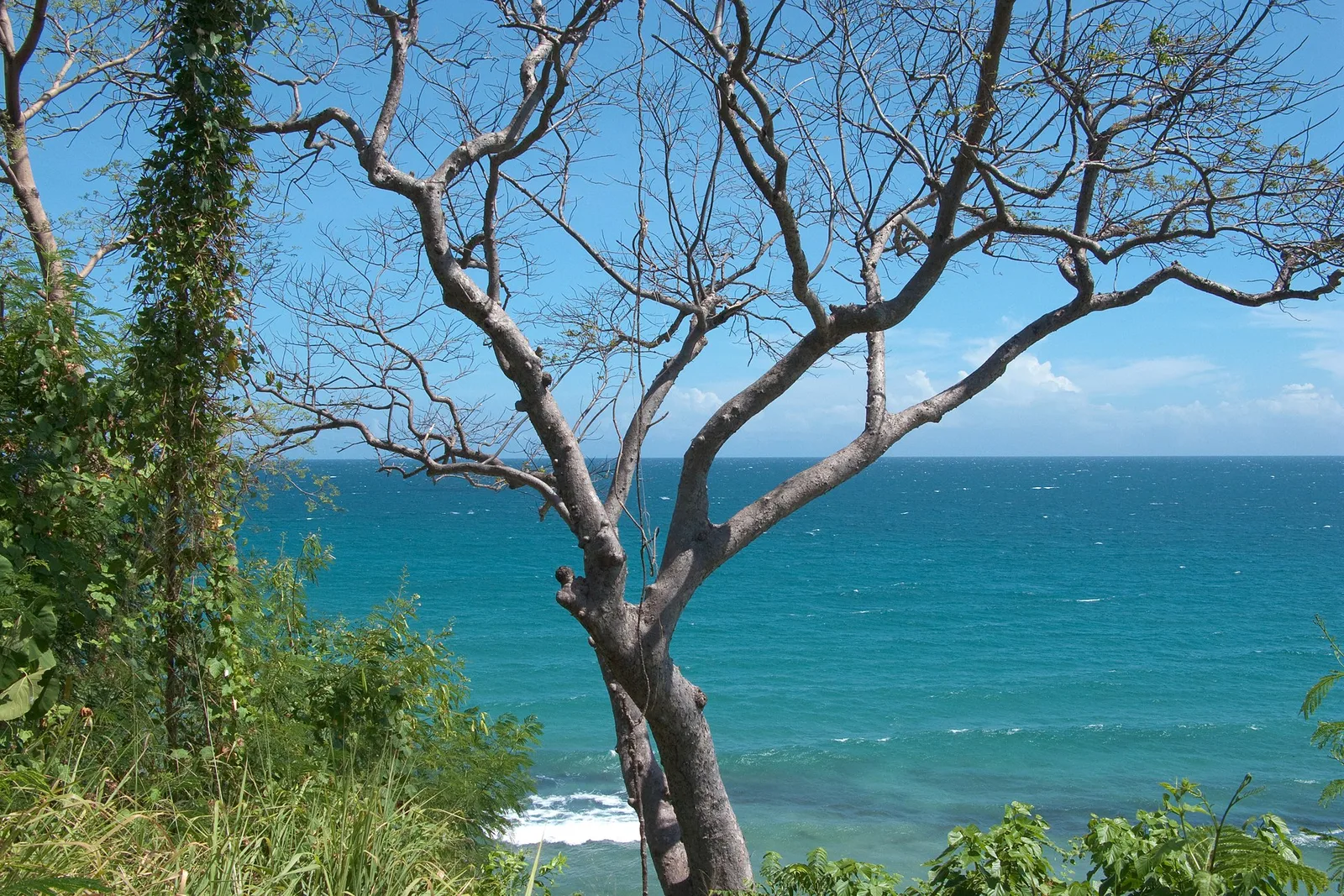 Roxas, North Palawan