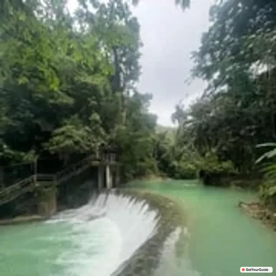 Sardine Run & Kawasan Falls Canyoneering