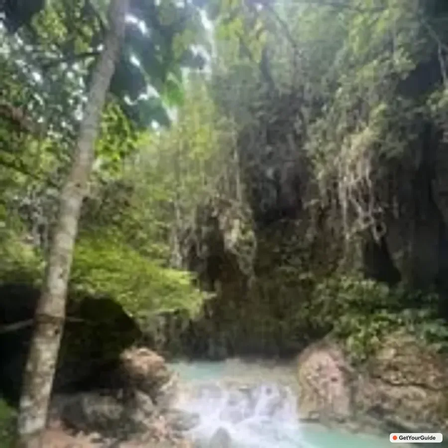 Sardine Run & Kawasan Falls Canyoneering