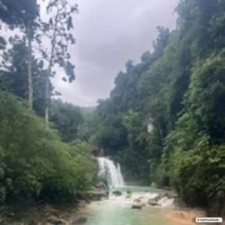 Sardine Run & Kawasan Falls Canyoneering