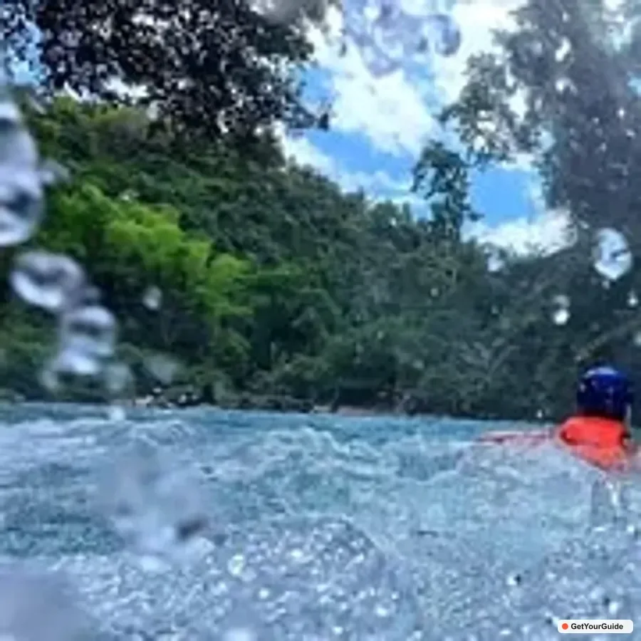 Sardine Run & Kawasan Falls Canyoneering