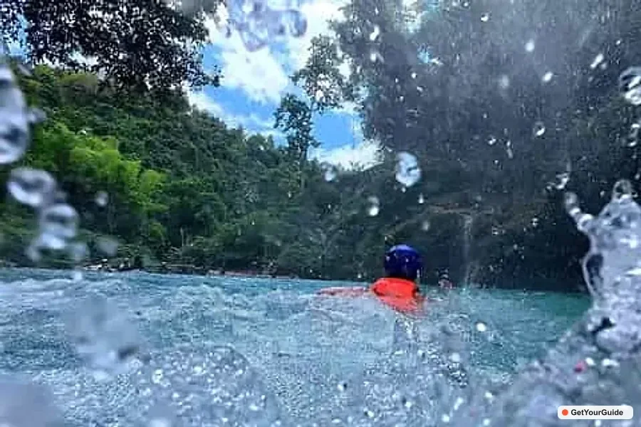 Sardine Run & Kawasan Falls Canyoneering