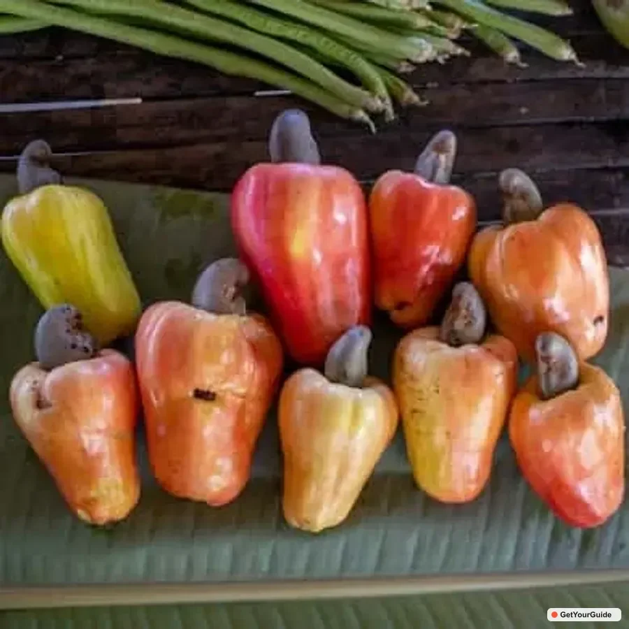 Sibaltan Farm Tour, Snorkeling, Dinner and Nipa Hut Stay