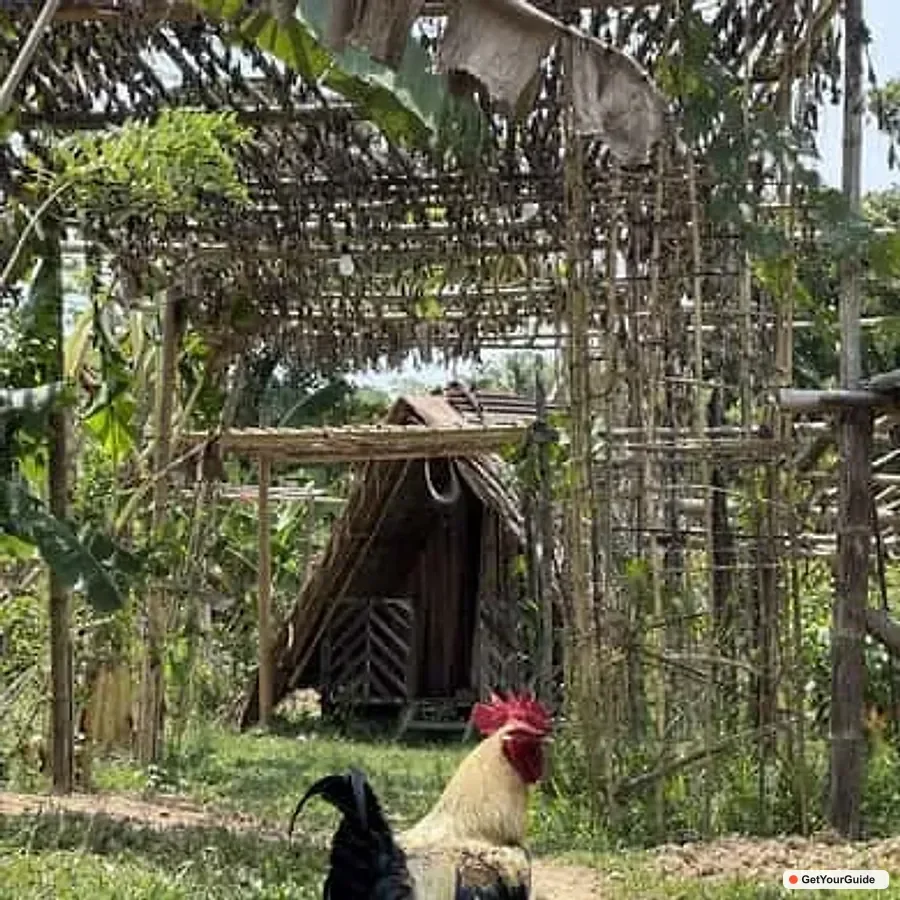 Sibaltan Local Organic Farm Tour and Product Tasting