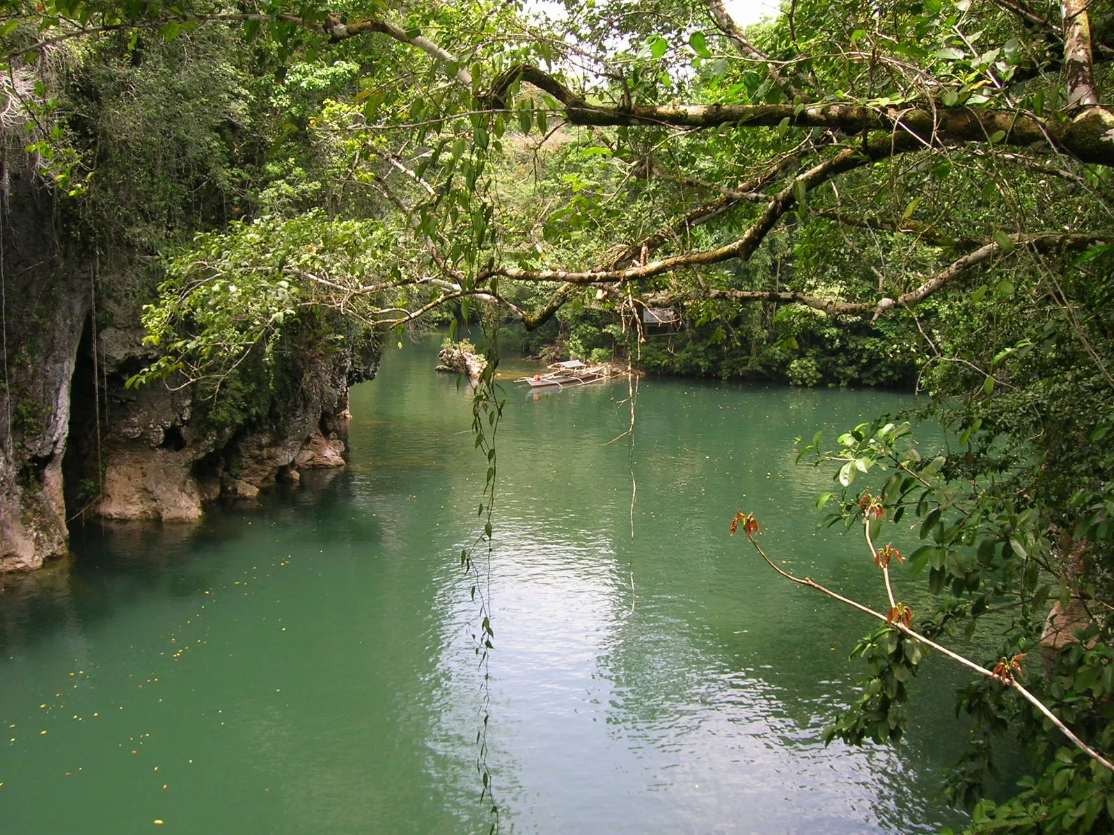 Sohoton Natural Bridge National Park Travel Guide 2026 — Samar Caves and Bioluminescent Lagoons
