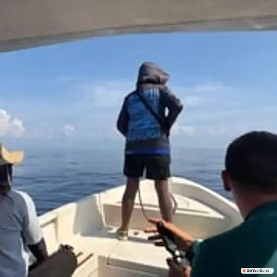 Swim with Whale Sharks Boat Cruise