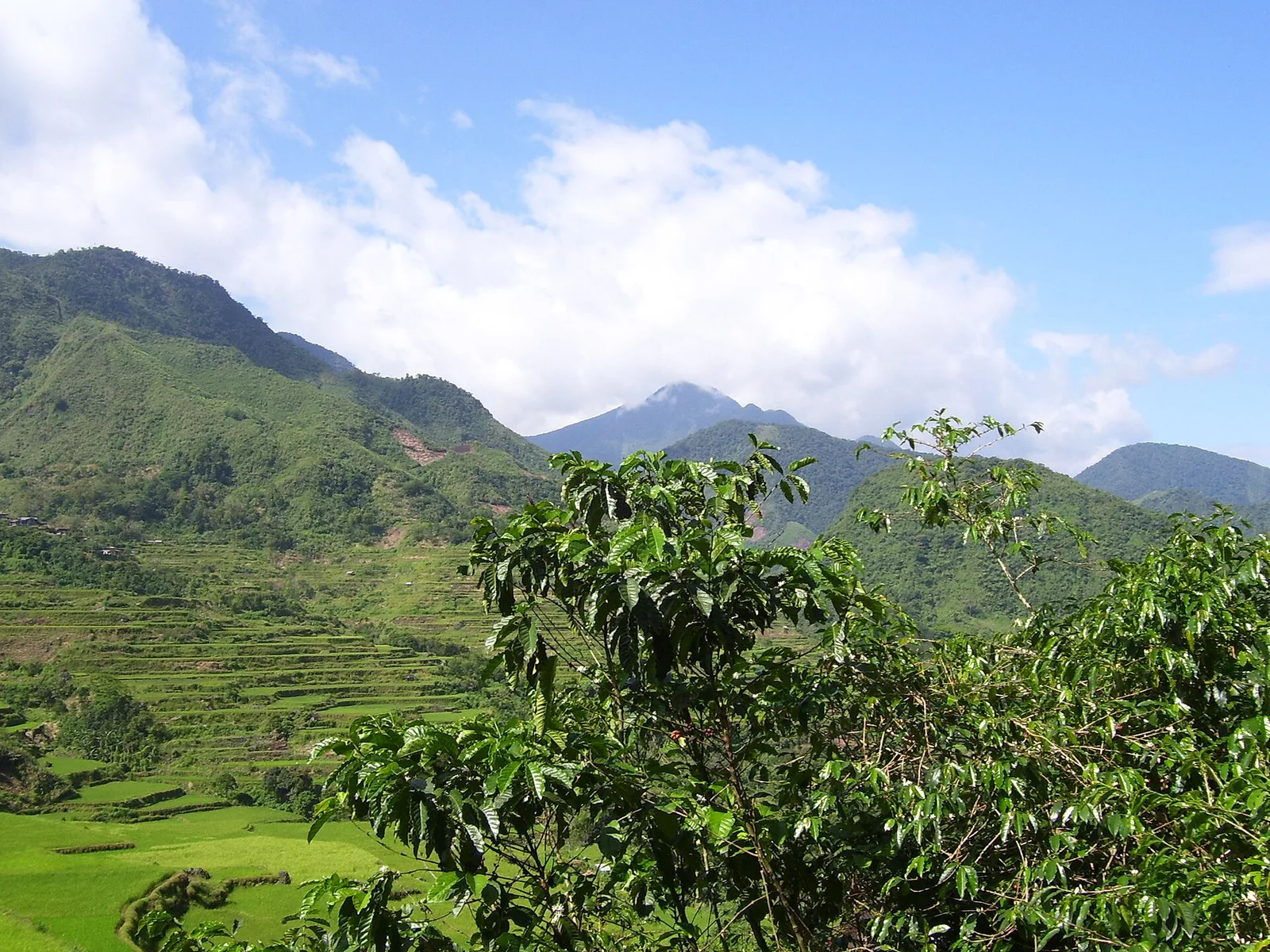 Tabuk Kalinga Rice Terraces, Philippines