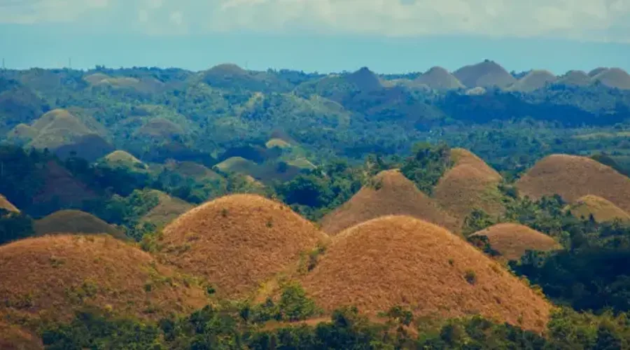 Bohol Organic Farm-to-Table Cooking Class