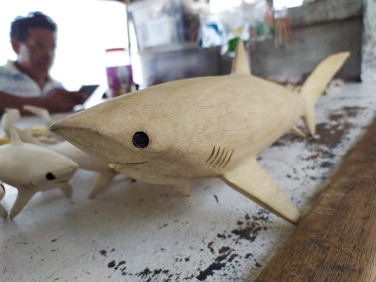 Cebu Malapascua Island — Thresher Shark Diving