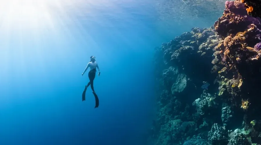 Dumaguete City & Apo Island Tour