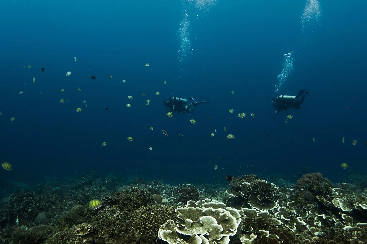 Dumaguete City & Apo Island Tour