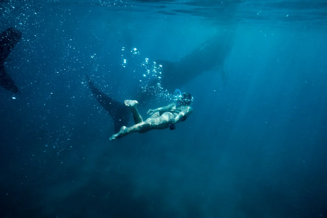 Malapascua Thresher Shark 2D1N Dive Package