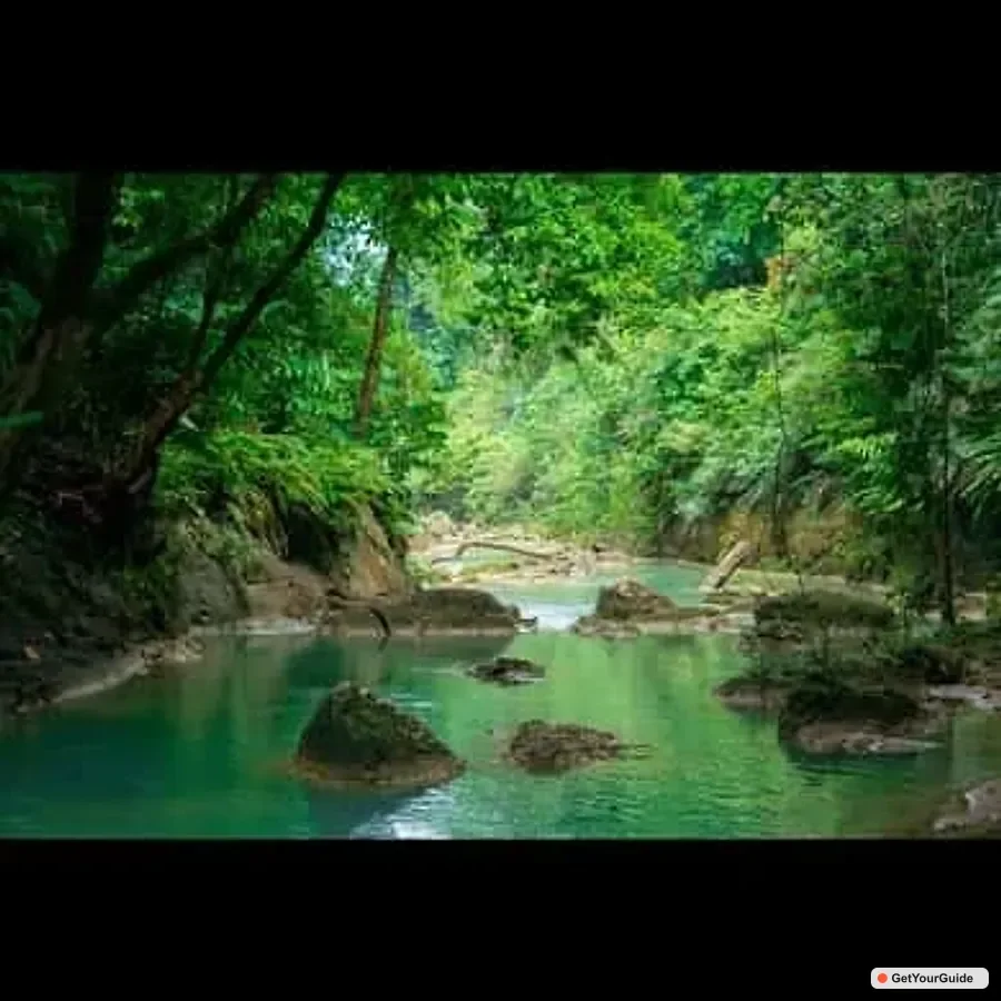 Bohol Waterfall Hopping & Secret Jungle Trails