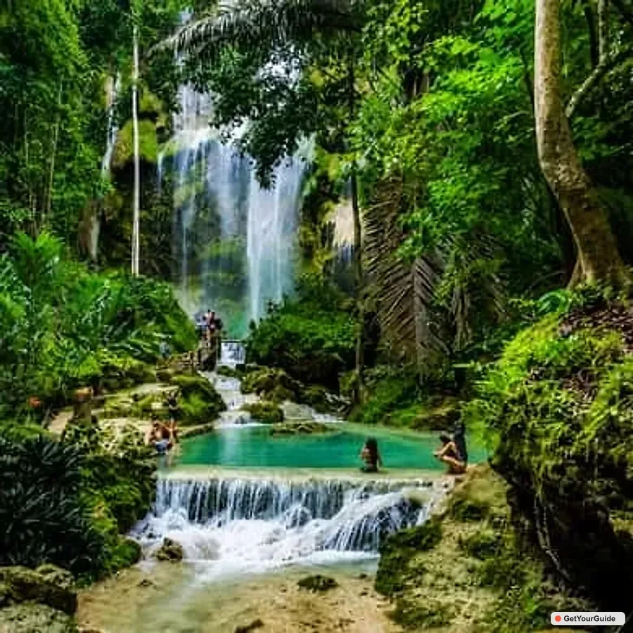 Whaleshark Swimming, Inambakan Falls & Moalboal Tour