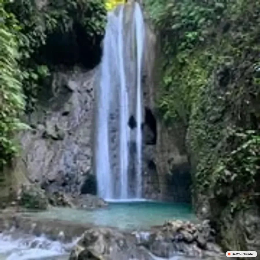 Whaleshark Swimming, Inambakan Falls & Moalboal Tour