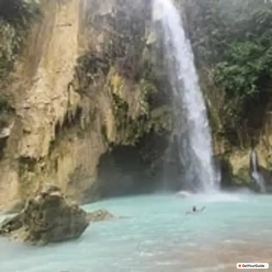 Whaleshark Swimming, Inambakan Falls & Moalboal Tour